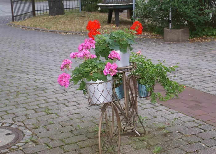 Scharmerhof Bed & Breakfast 3*